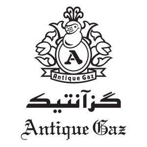تهیه گزارش مالی شرکت گز آنیتک اصفهان