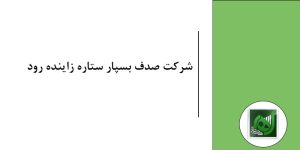 کمک به پرداخت مالیات فصلی شرکت صدف بسپار ستاره زاینده رود