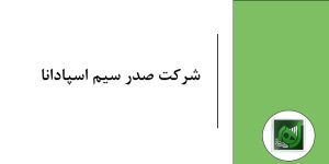 ارائه خدمات مالیاتی تراکنش های بانکی شرکت صدر سیم اسپادانا